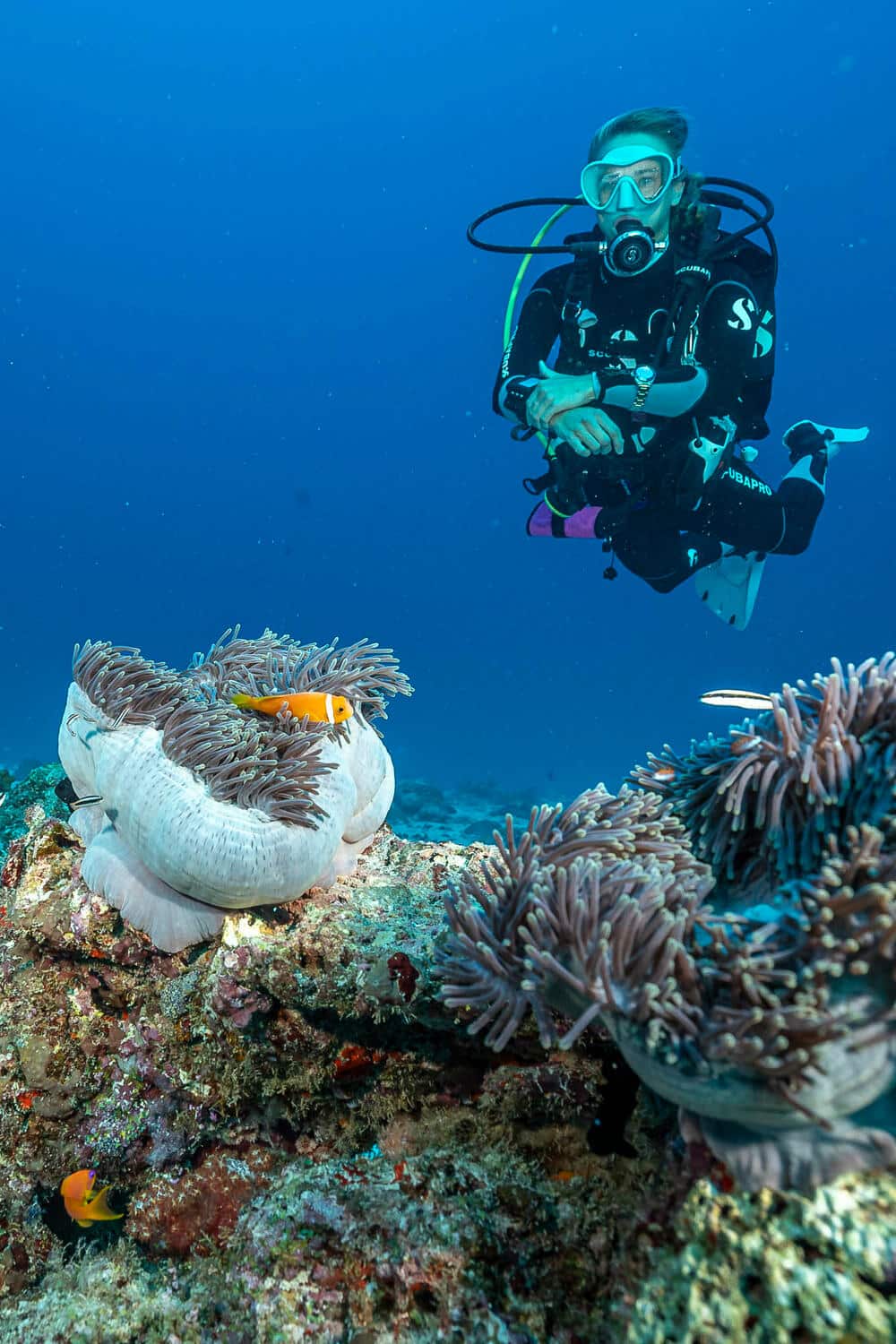 Certina DS Action Sea Turtle Conservancy Special Edition - Bilde 6